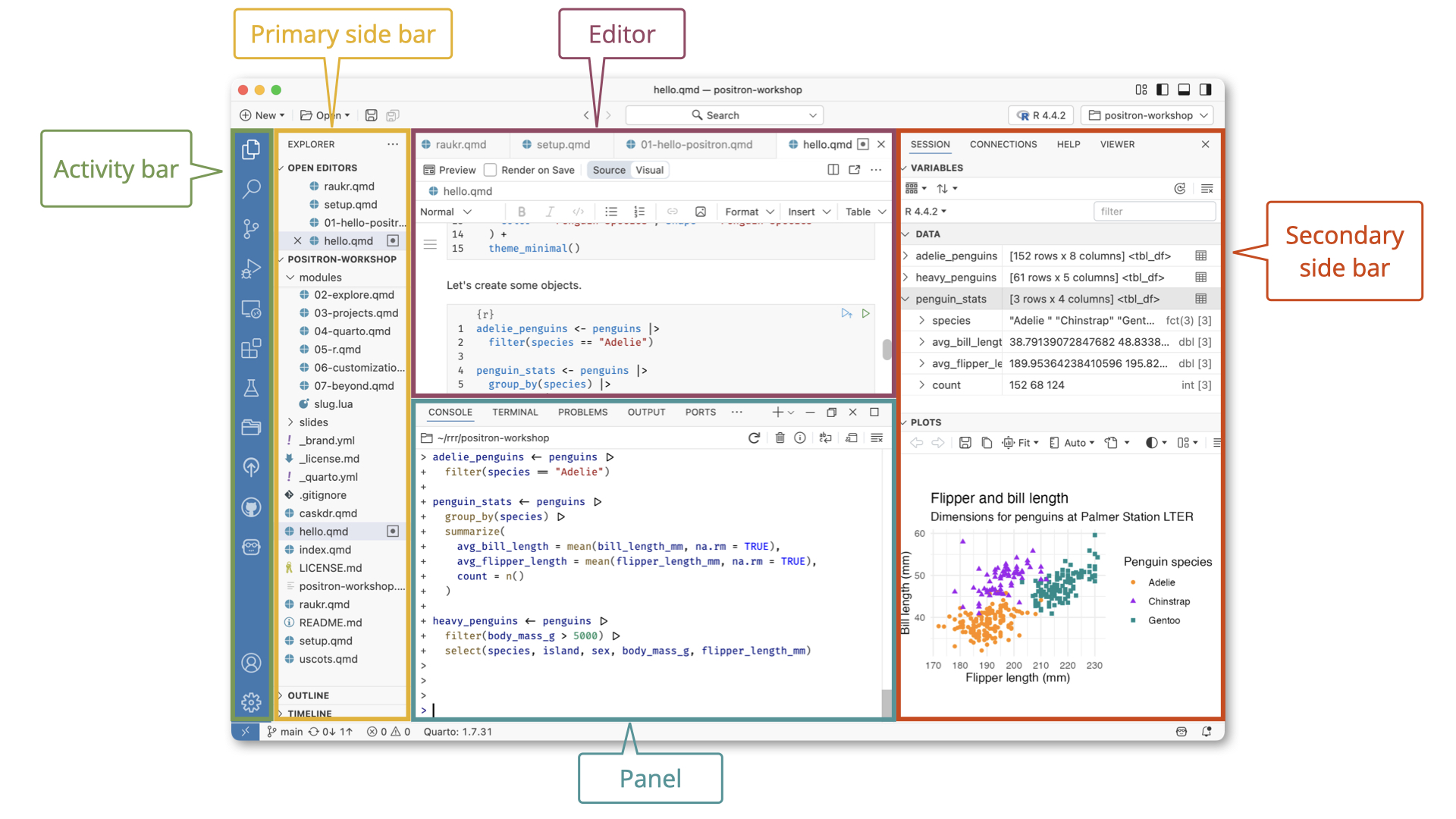 Positron IDE with labeled regions: Activity Bar on the far left, Primary Side Bar to its right, Editor in the center, Panel below the editor, and Secondary Side Bar on the right.