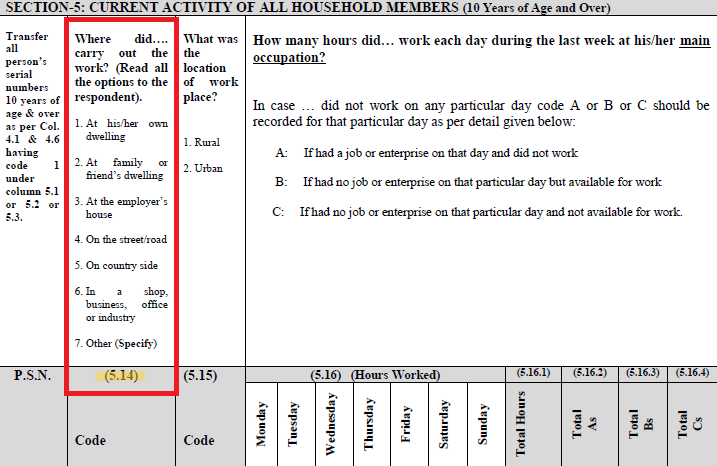 Excerpt of the 2020 PAK LFS questionnaire