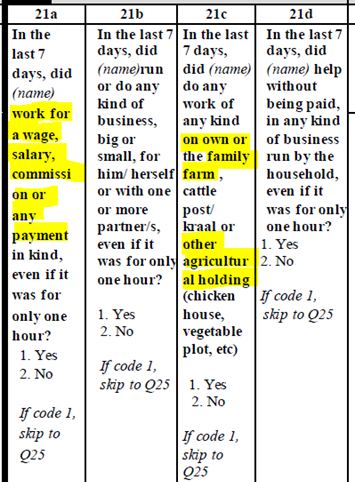 Example of 2014 ZWE LFS questionnaire