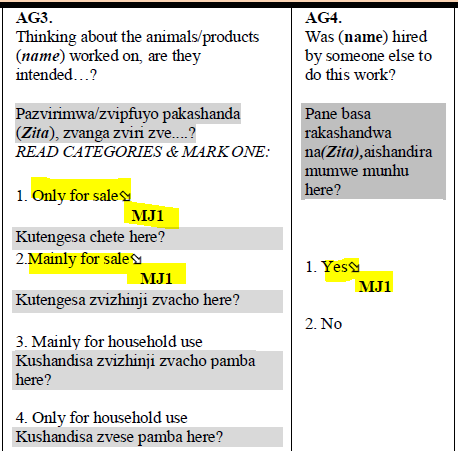 Example of 2019 ZWE LFS questionnaire