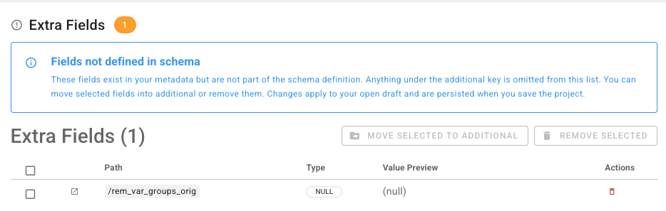 Validation report — extra fields