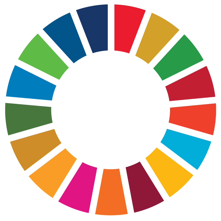 Sustainable Development Goals Icon