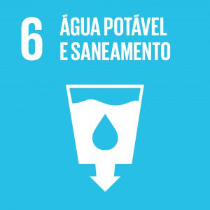 Goal 6